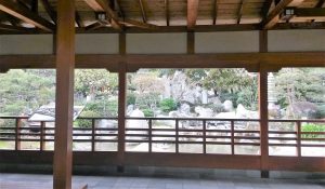 Services professionnels de traduction et interprétariat