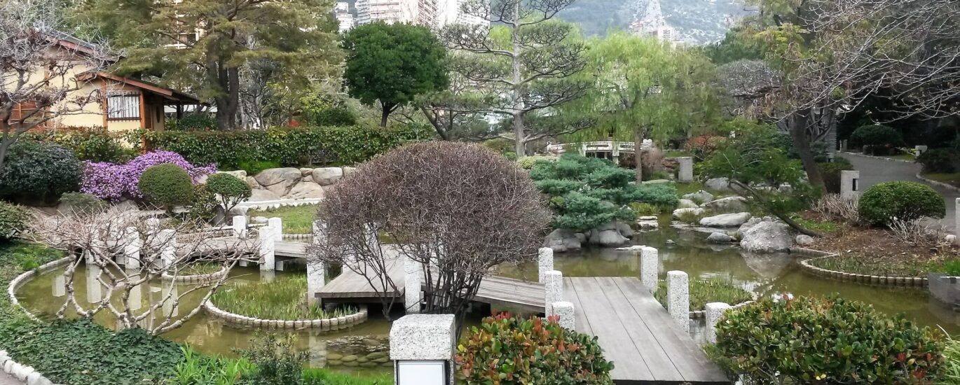 Services professionnels de traduction