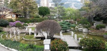 Services professionnels de traduction