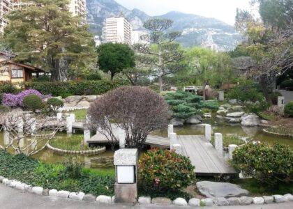 Services professionnels de traduction