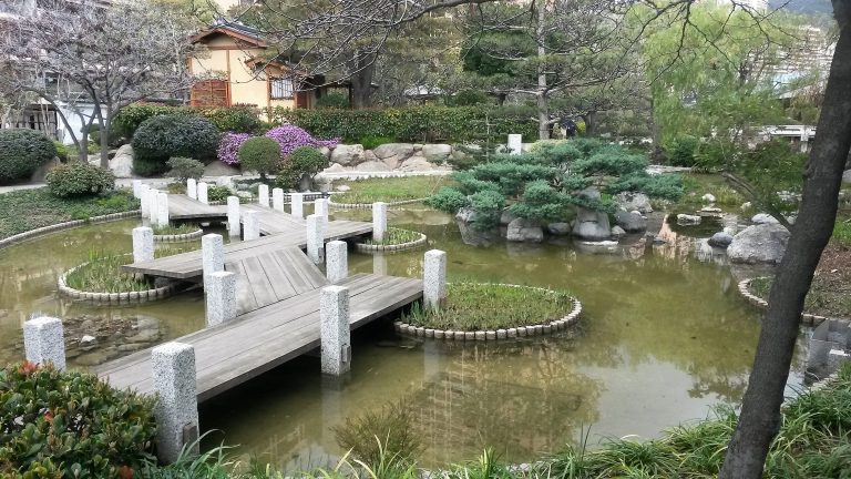 Services professionnels de traduction